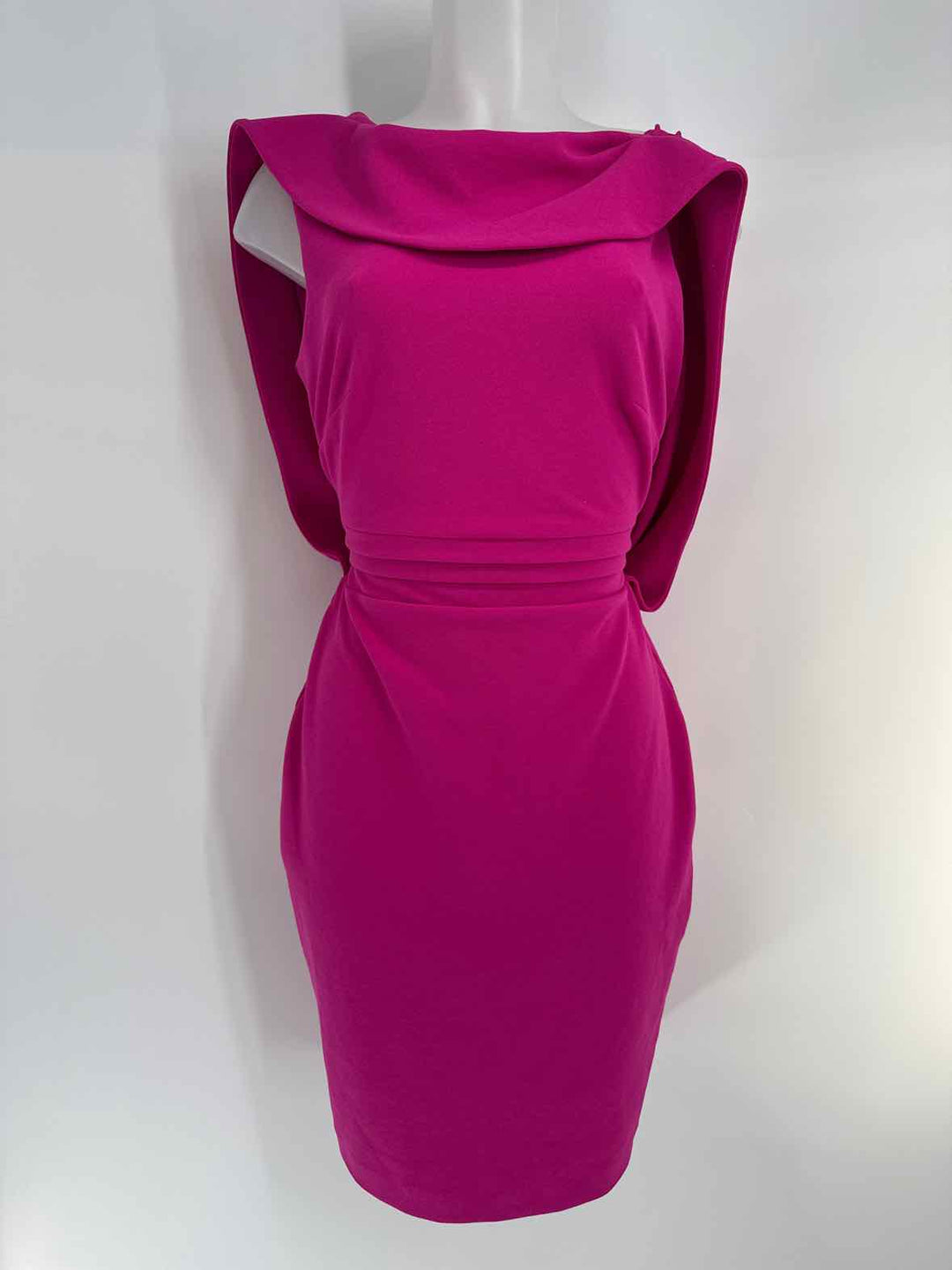 Size 8 Badgley Mischka Fuschia Dress