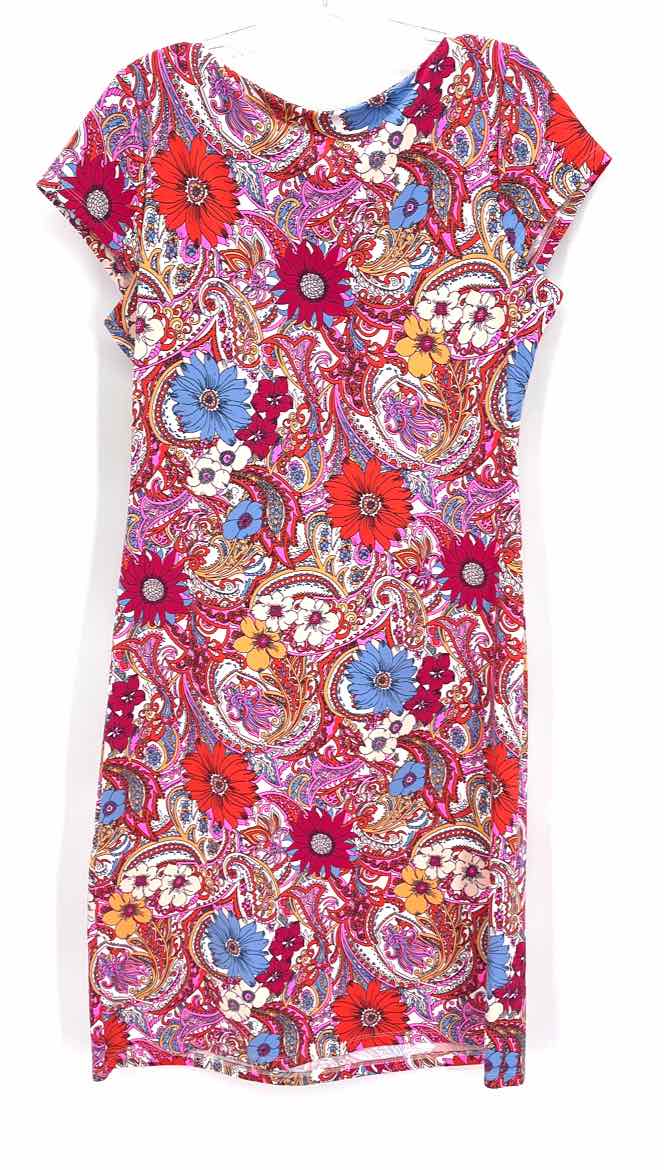Size M Talbots Multi-Color Dress