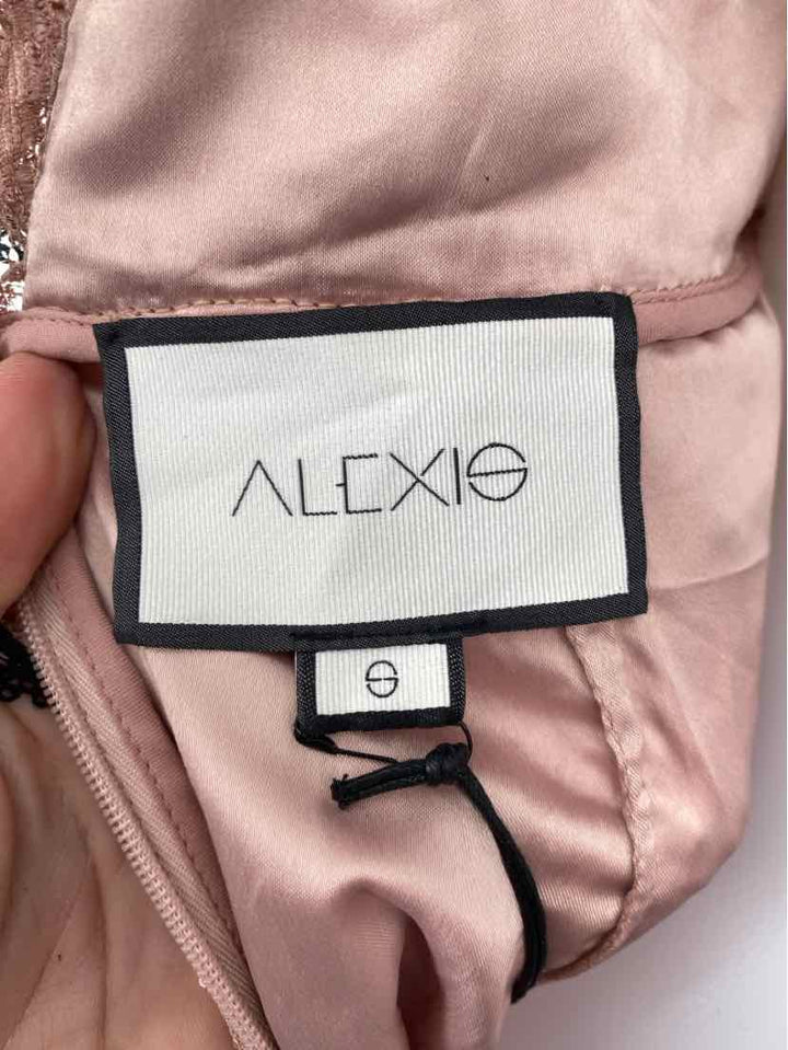Size S ALEXIS Pink Lace Dress