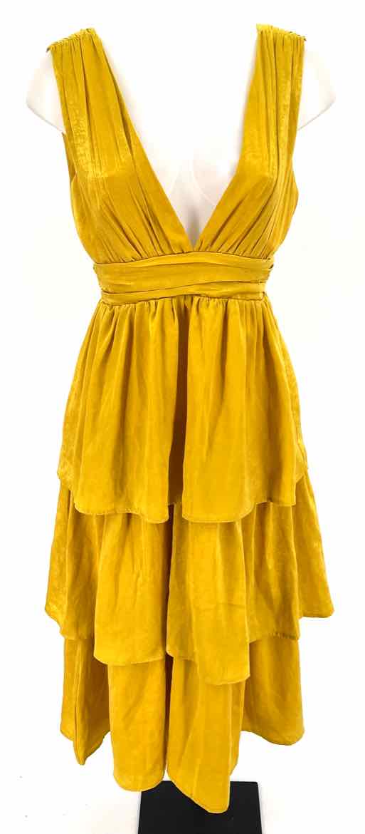 Size S Mustard Dress