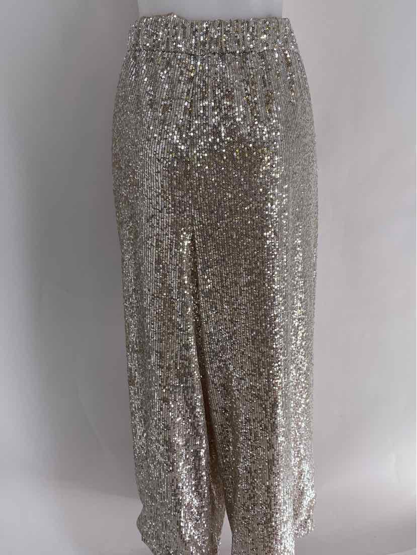 Size XL Banana Republic Silver Pants