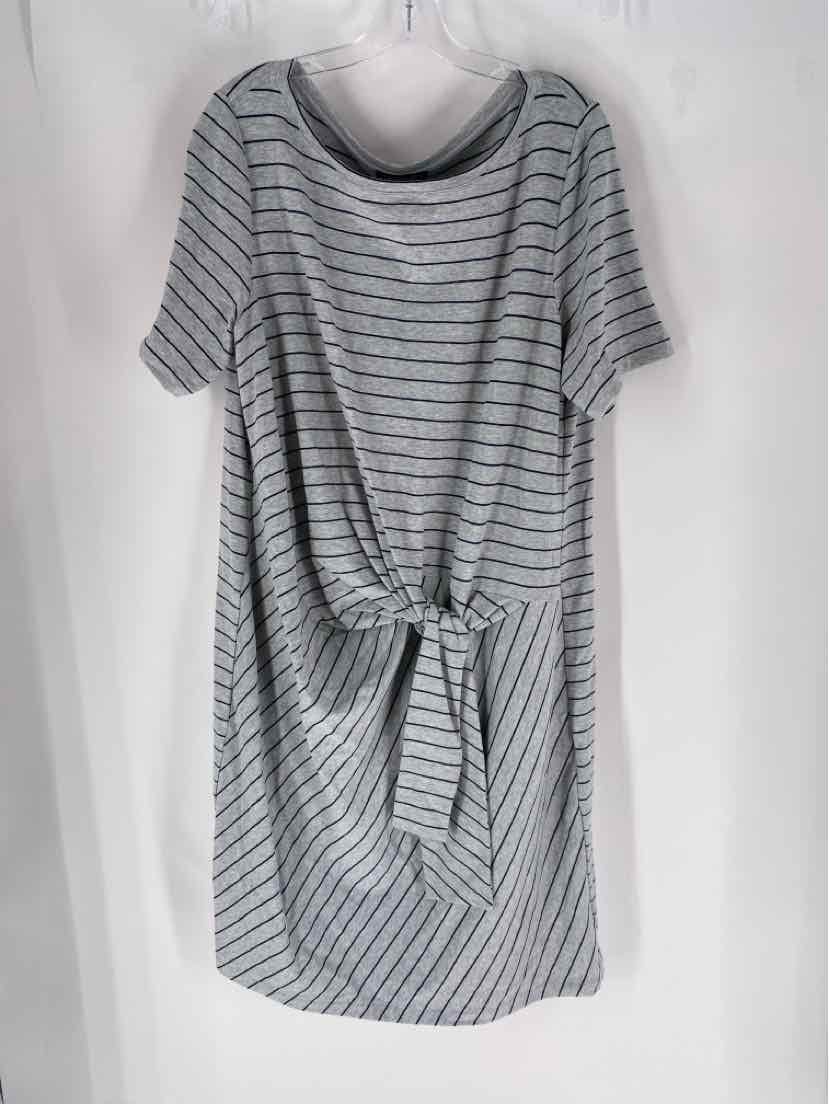 Size XXL LAFAYETTE Gray Cotton Dress