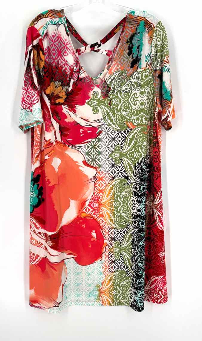 Size XL Chico's Multi-Color Dress