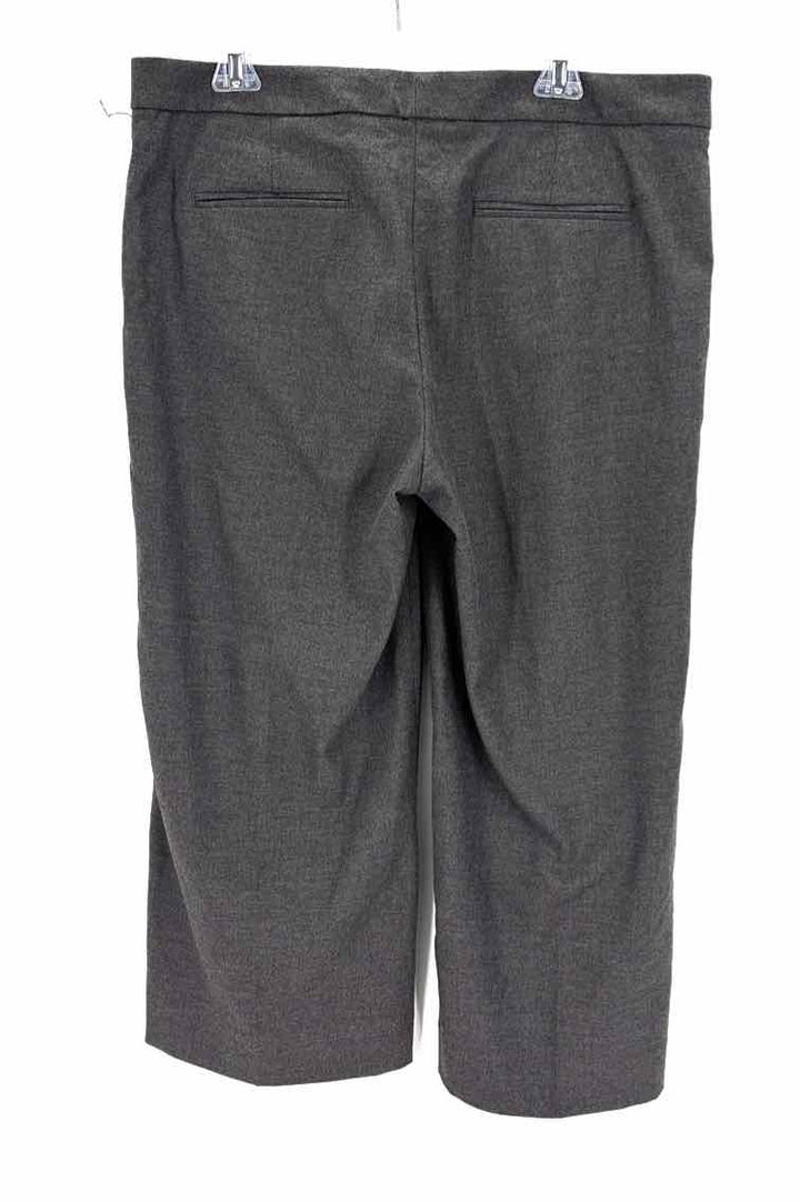 Size 14 Banana Republic Charcoal Pants