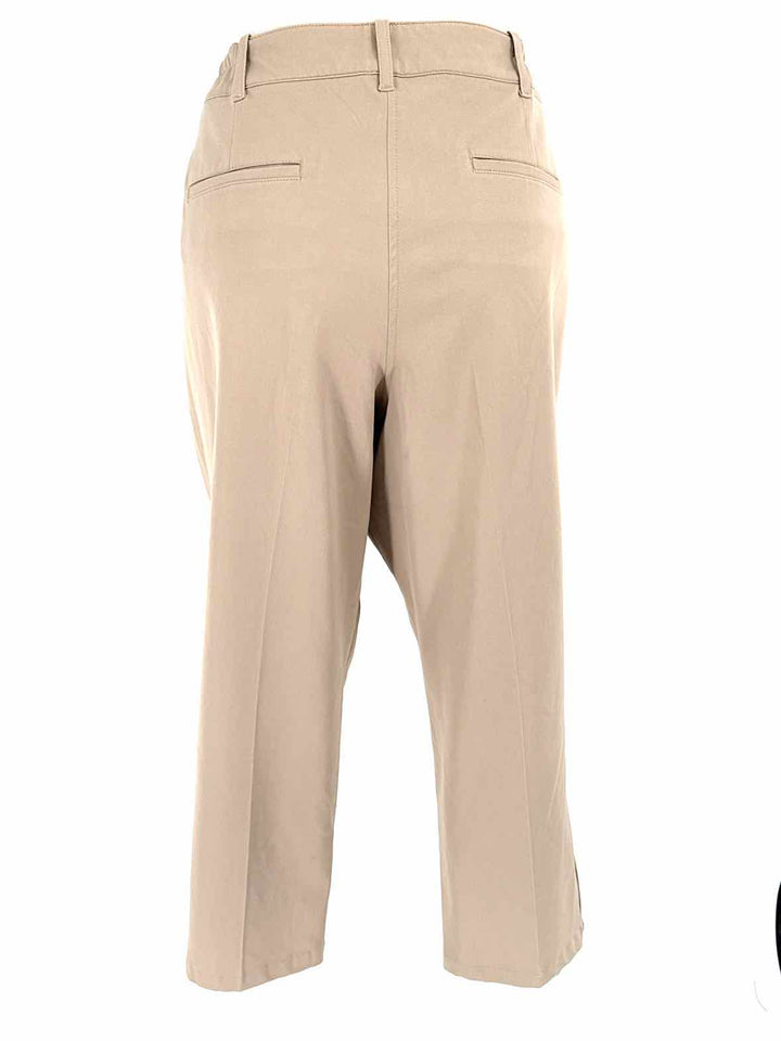 Size 14 Talbots Tan Pants