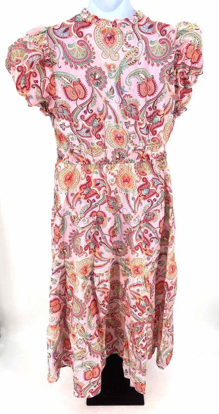 Size 1X Pink Dress