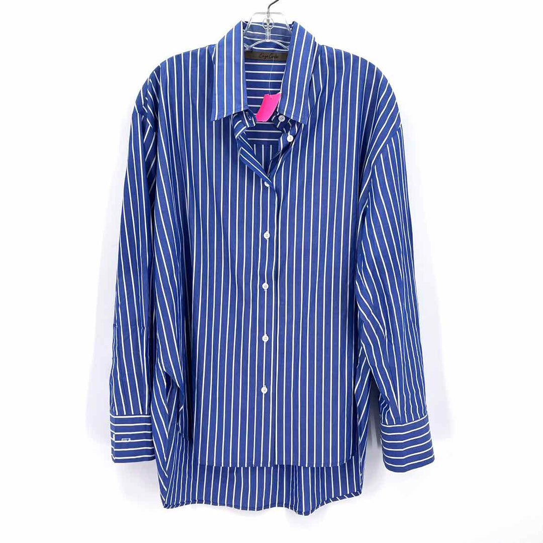 Size L Blue Shirt