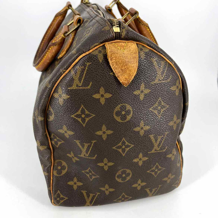Louis Vuitton Luxury - Purse