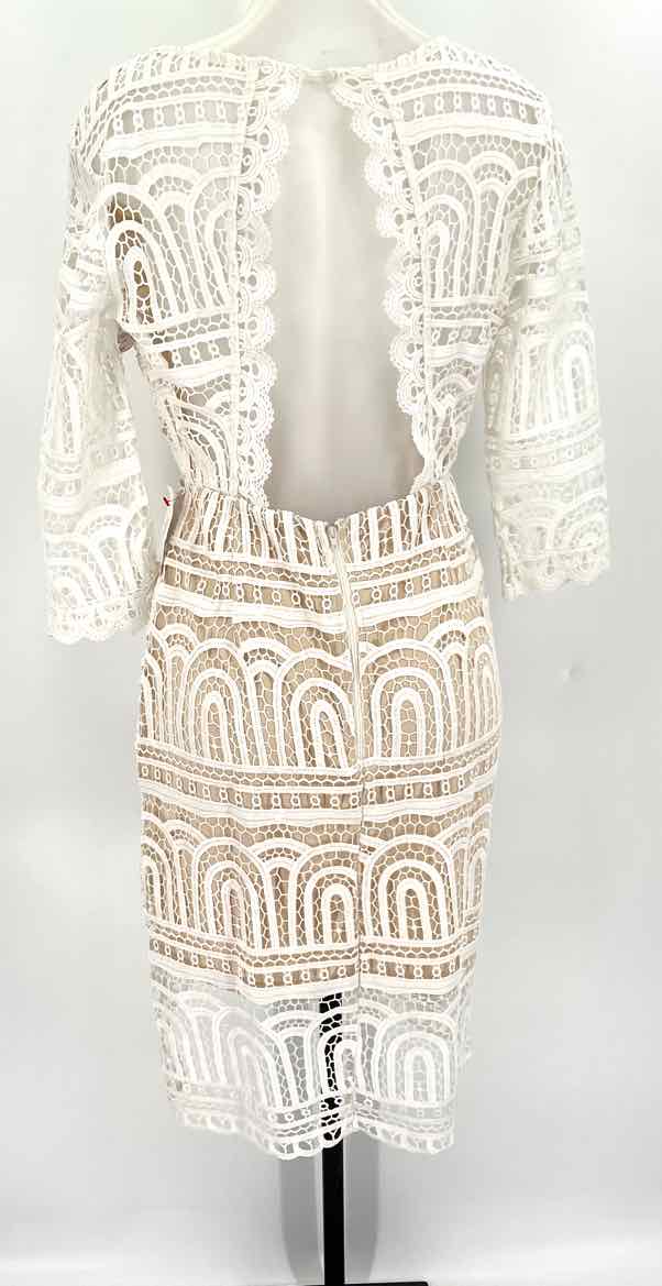 Size L White Lace Dress