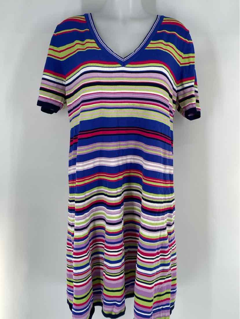 Size 1X Multi-Color Dress