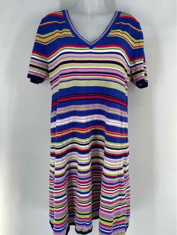 Size 1X Multi-Color Dress
