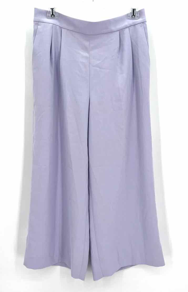 Size 6 J Crew Purple Pants