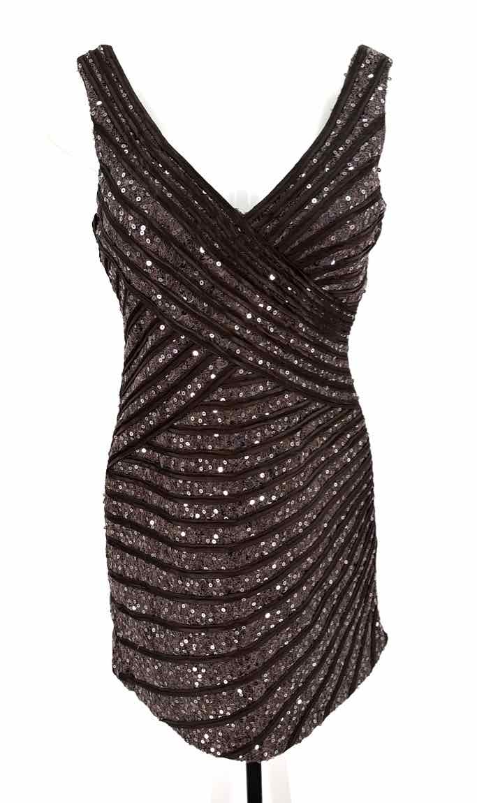 Size 40 Charcoal Lace Sequined Dress