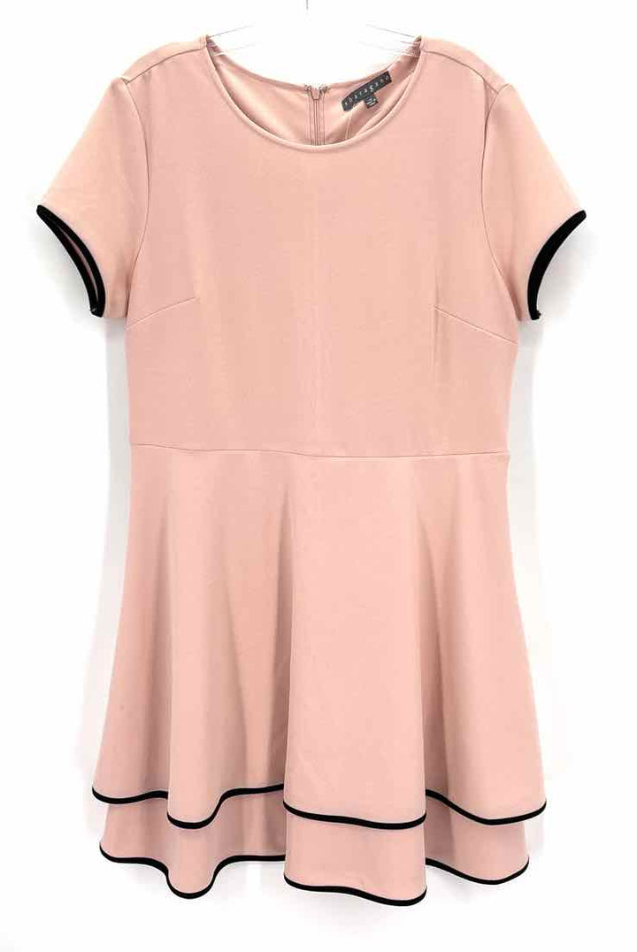 Size 14 SHARAGON Pink Dress