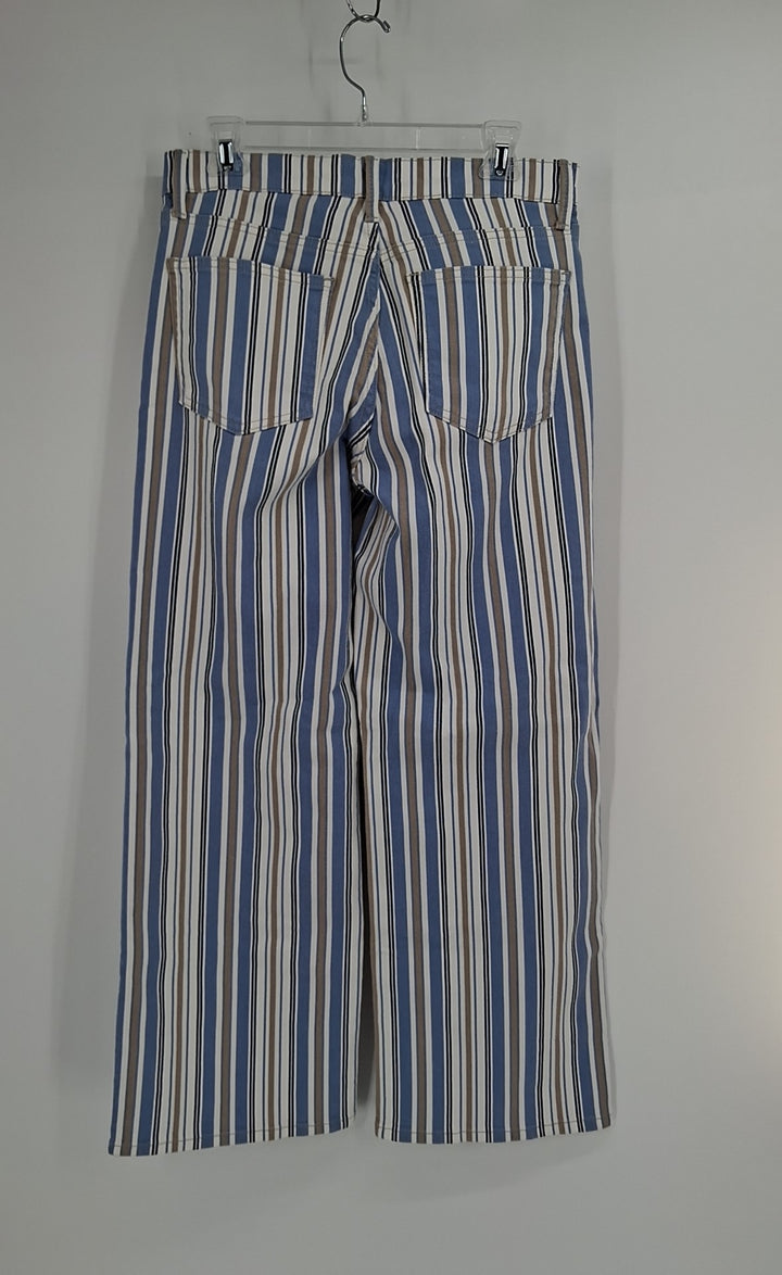 Size 10 JUST USA Multi-Color Pants