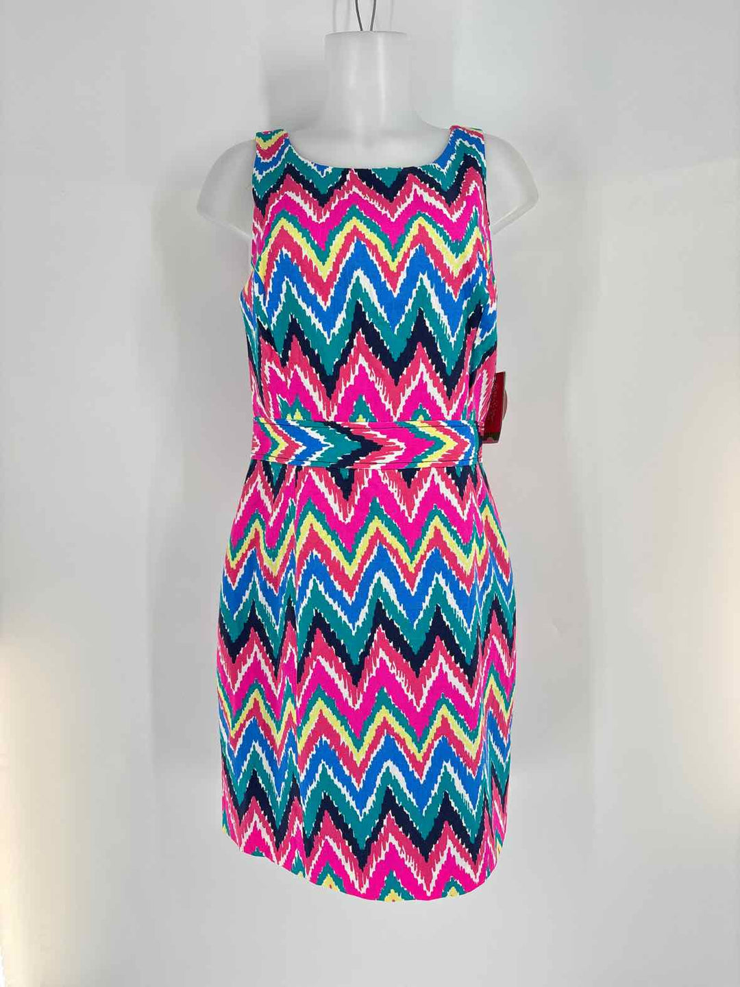 Size 10 Lilly Pulitzer Multi-Color Dress