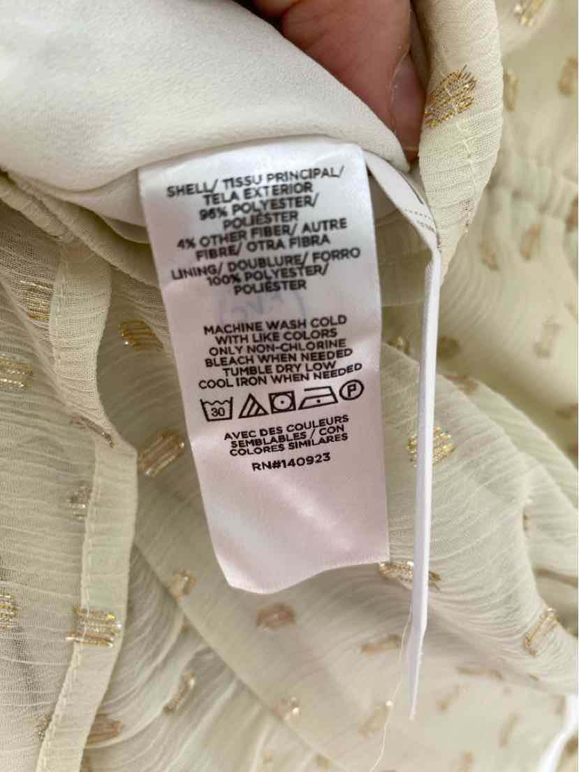 Size XL Ann Taylor Ivory Dress