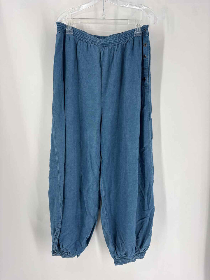 Size M Anthropologie Denim Pants