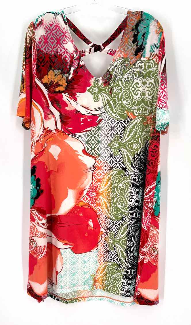Size XL Chico's Multi-Color Dress