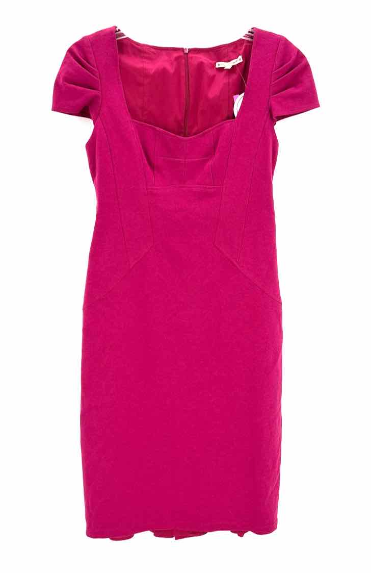 Size 6 NANETTE LEPORE Fuschia Dress