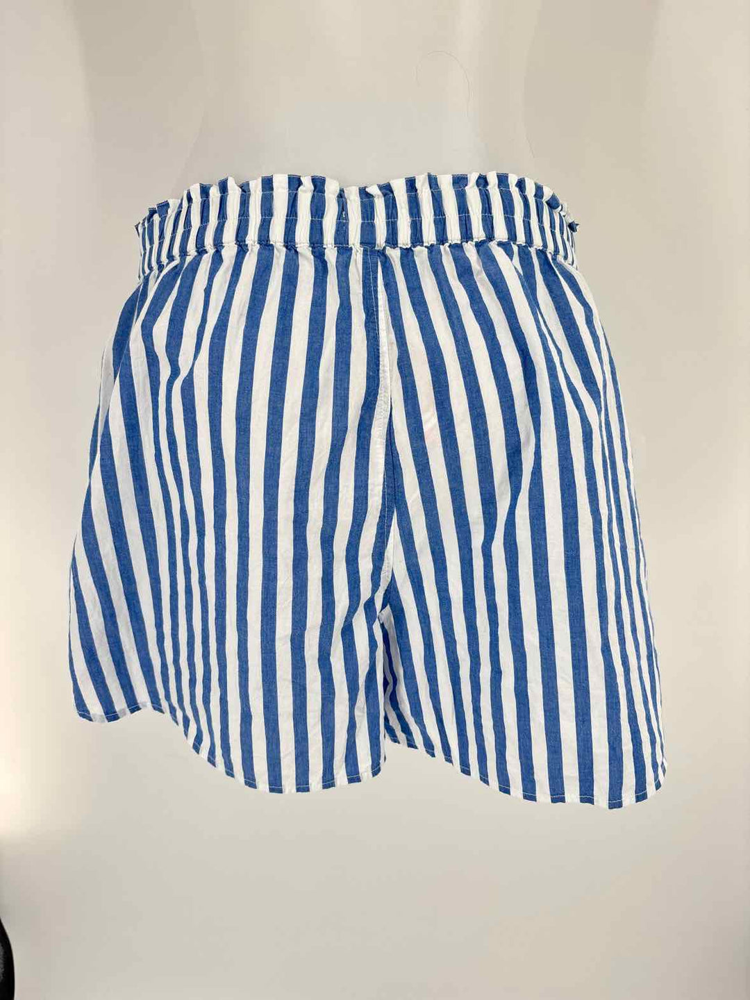 Size M MADEWELL Blue Shorts