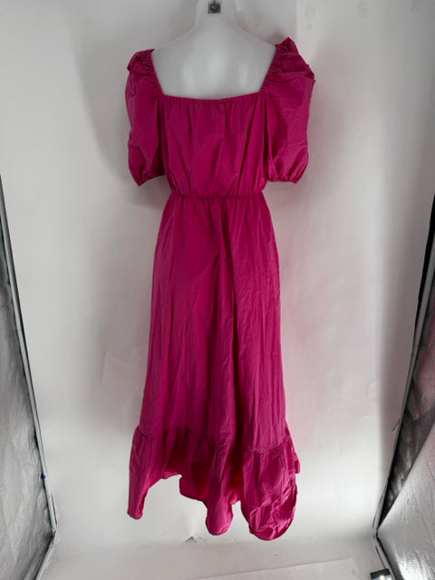 Size S ZARA Fuschia Dress