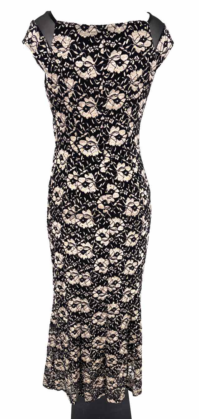 Size Petite Black Lace Dress