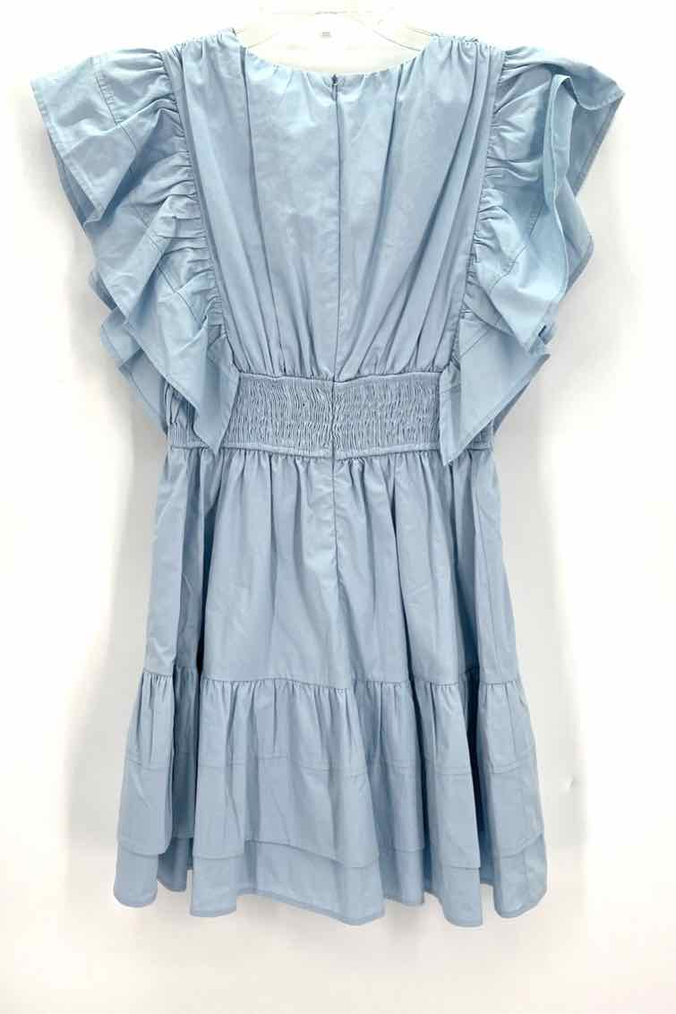 Size S TCEC Blue Dress