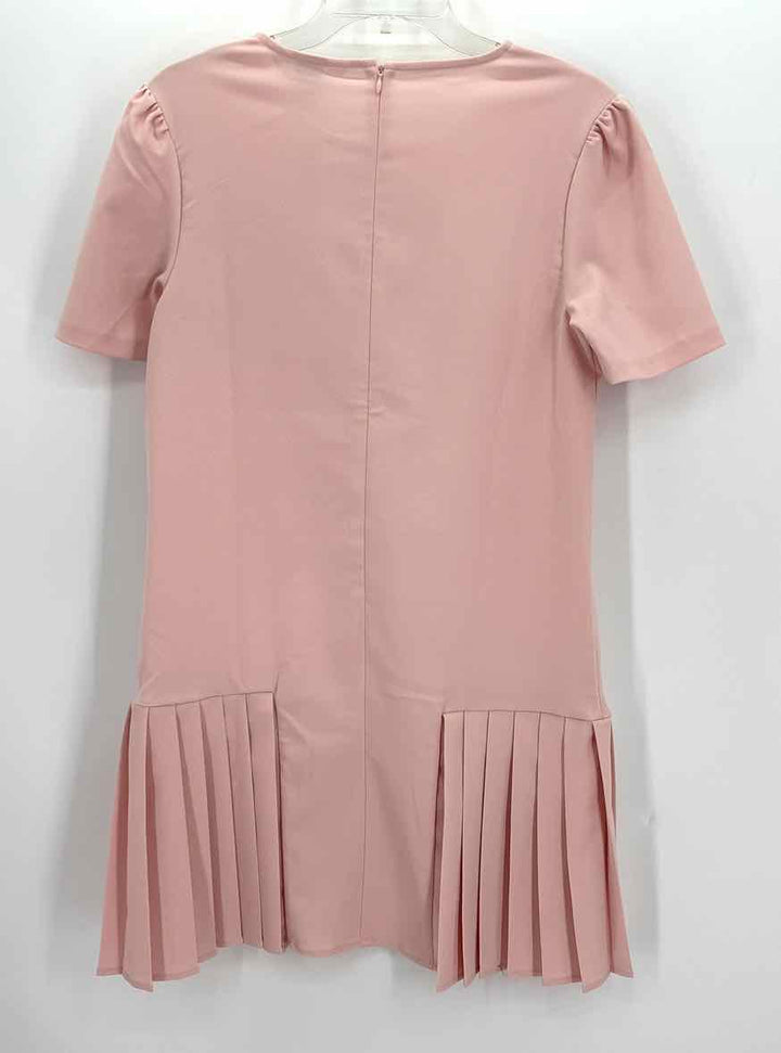 Size M Pale Pink Dress