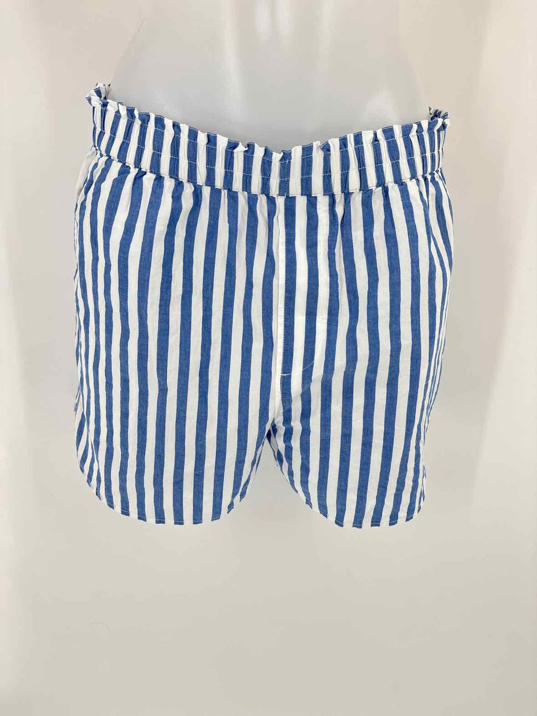 Size M MADEWELL Blue Shorts