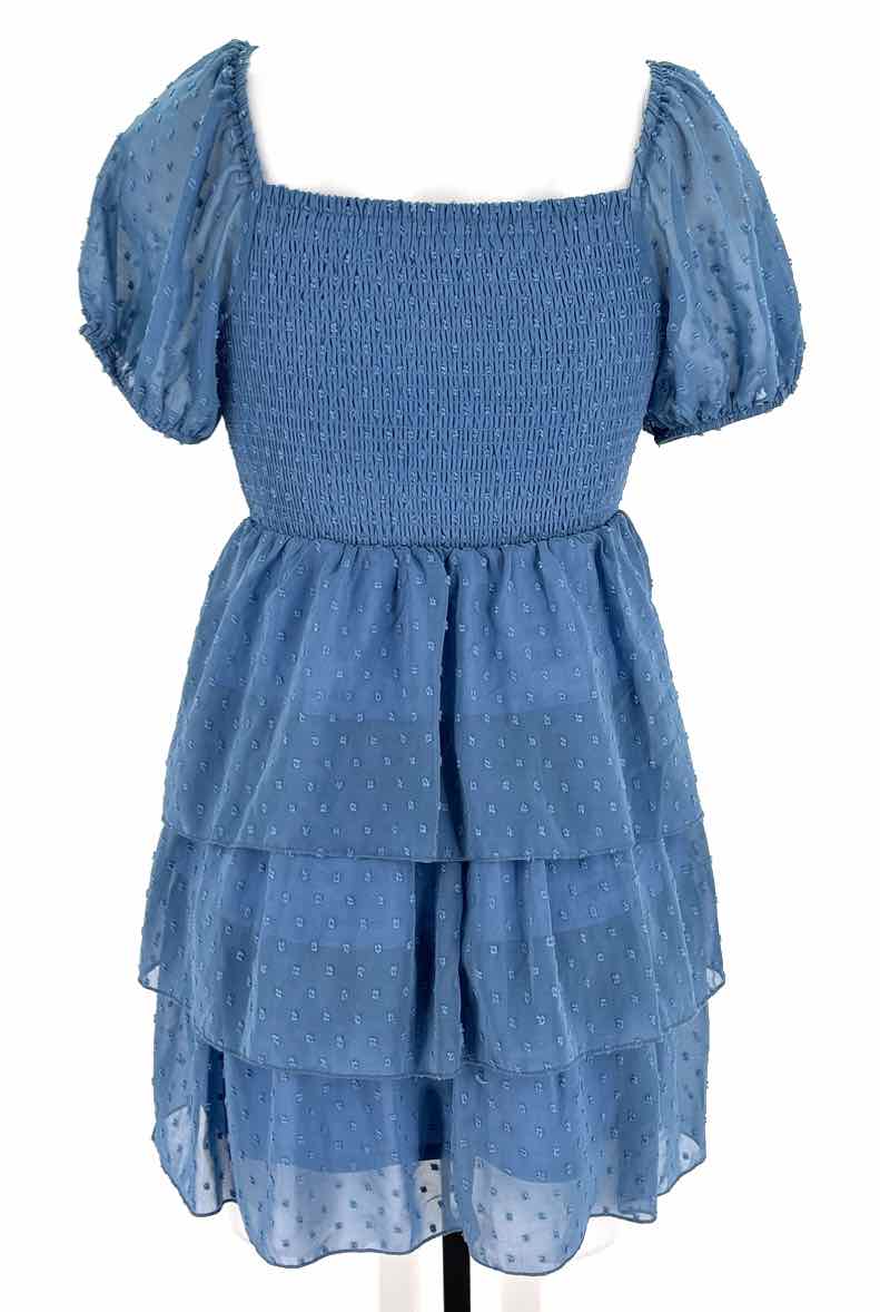 Size S ALTAR'D STATE Blue Dress