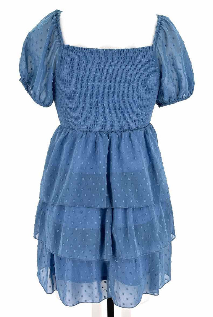 Size S ALTAR'D STATE Blue Dress