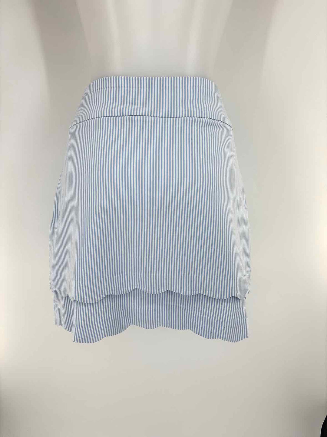 Size 10 Blue Skirt