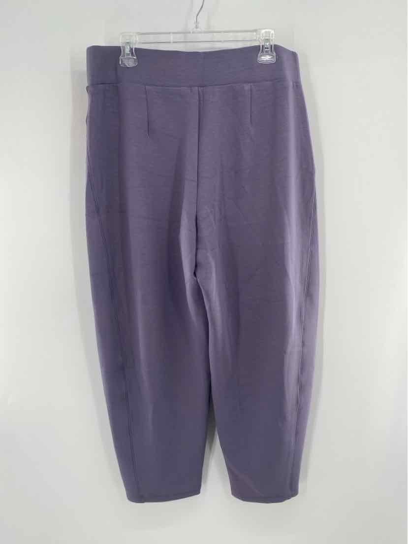 Size 1X SPANX Purple Pants