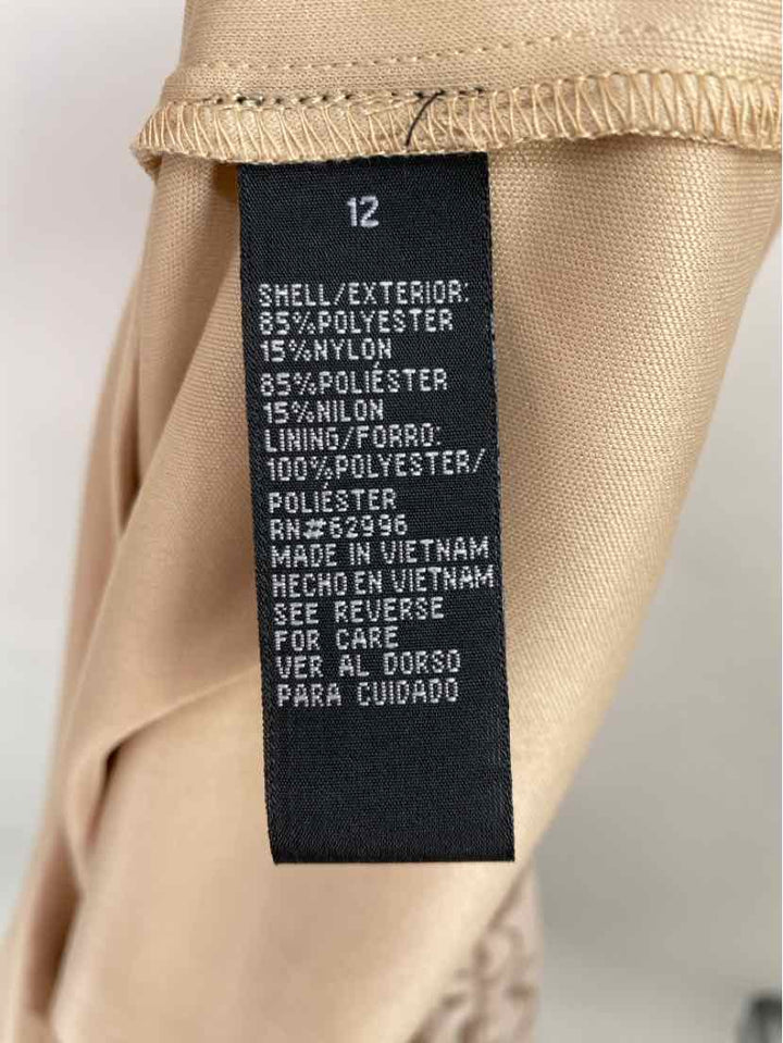 Size 12 Taupe Dress