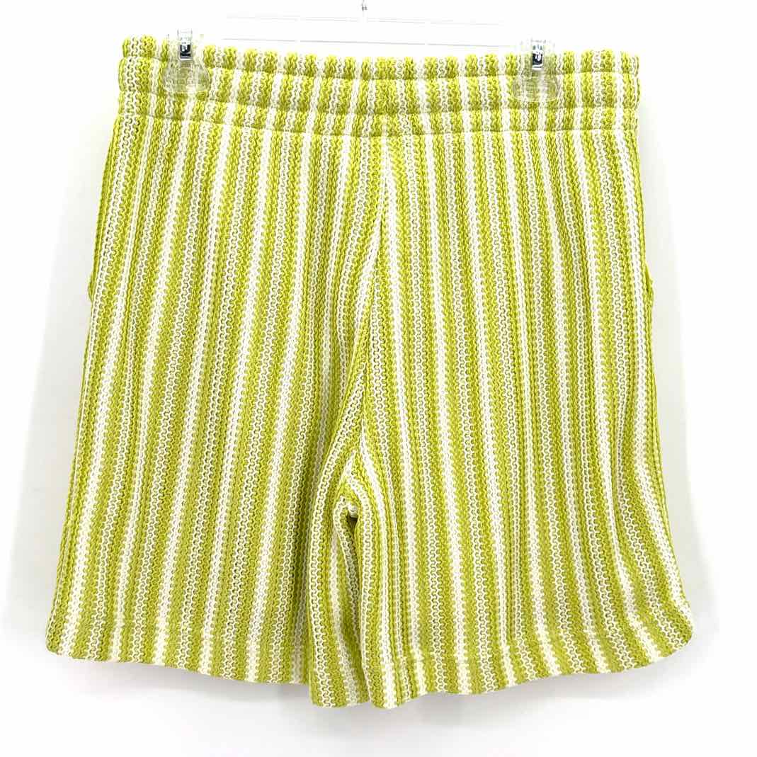 Size M Multi-Color Knit Shorts