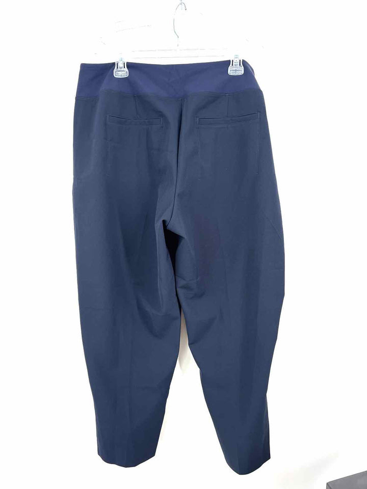 Size 18 Athleta Navy Pants