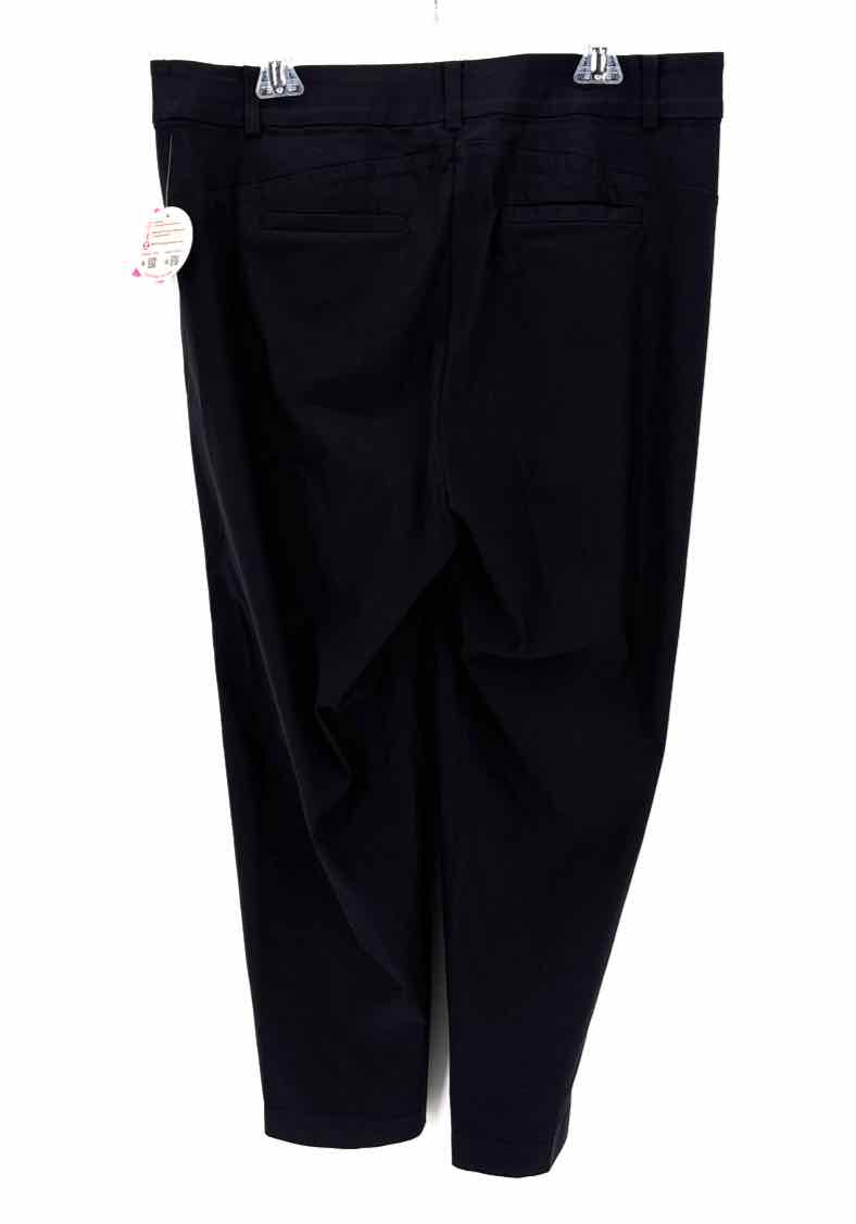Size 16 LANE BRYANT Black Pants