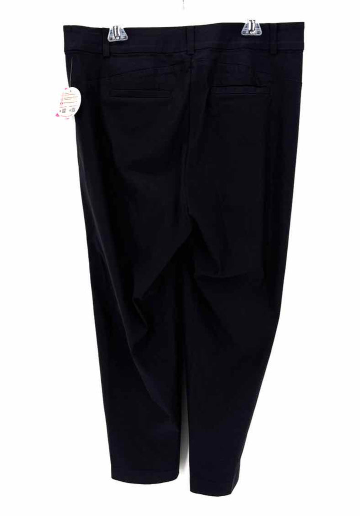 Size 16 LANE BRYANT Black Pants