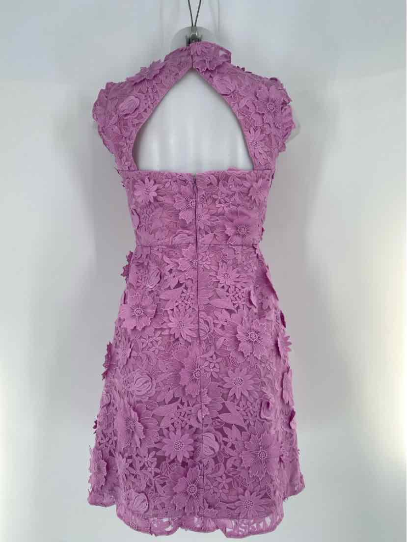 Size 2 J Crew Purple Dress