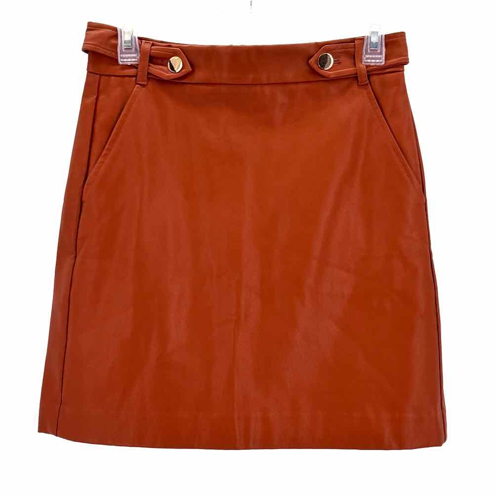 Size 0 LOFT Brown Skirt
