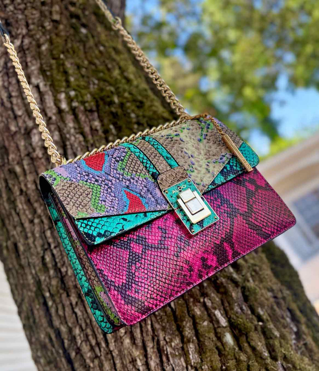Aldo Purse