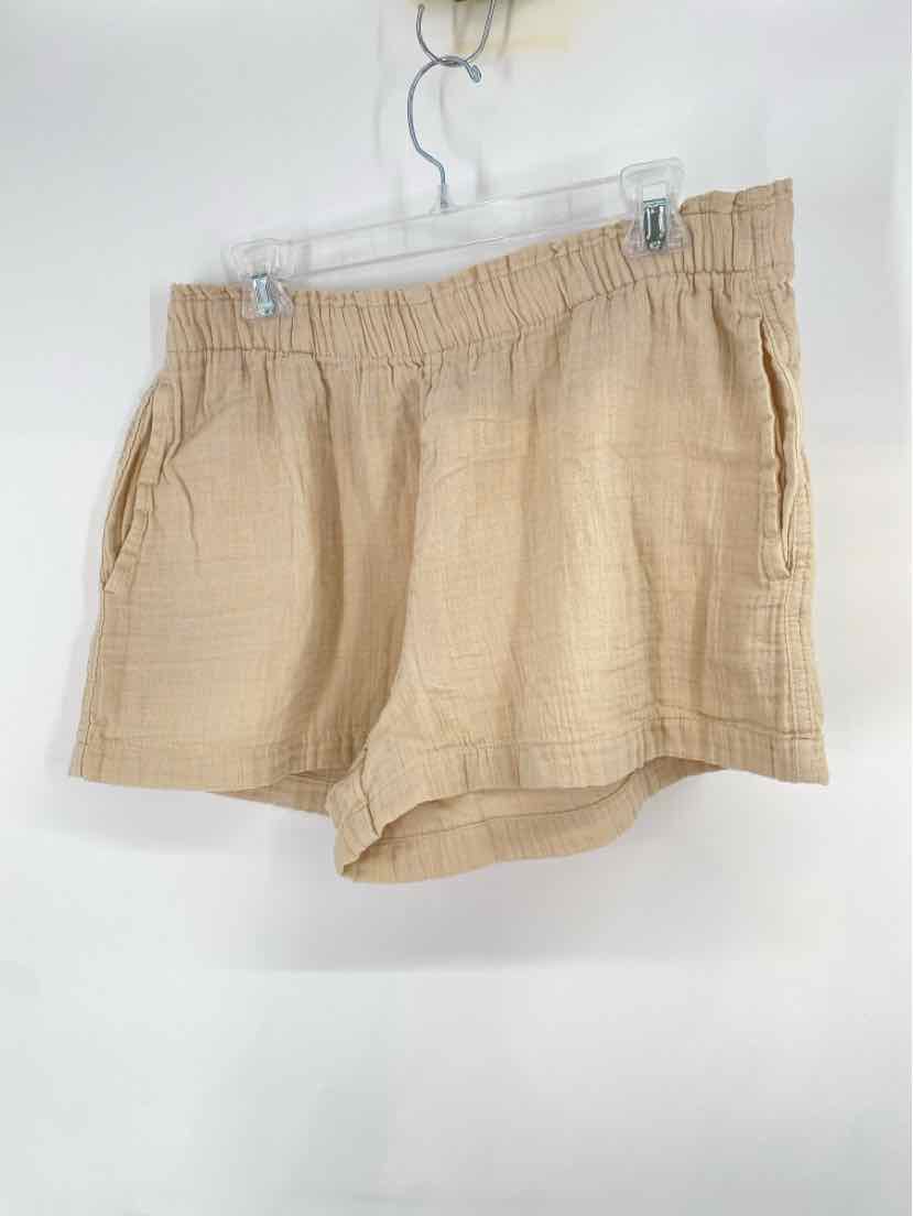 Size L GAP Tan Shorts