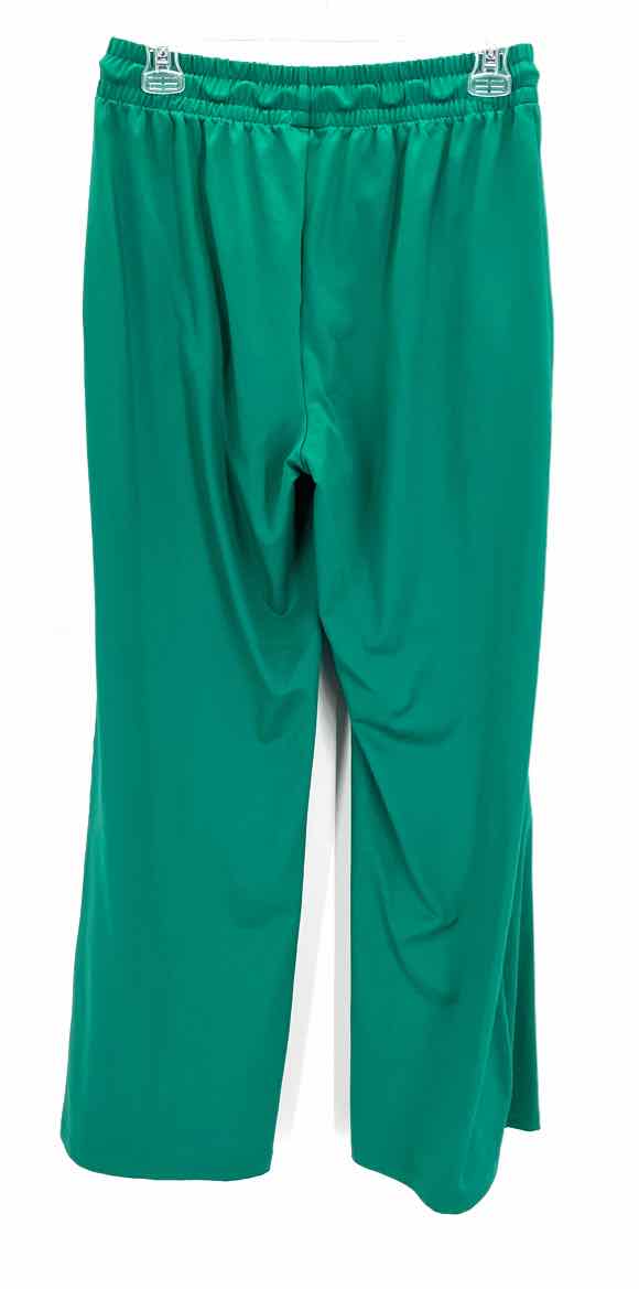 Size S AERIE Green Pants