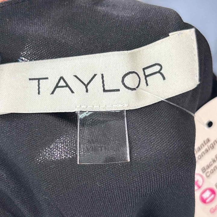 Size M TAYLOR Black Mesh Dress
