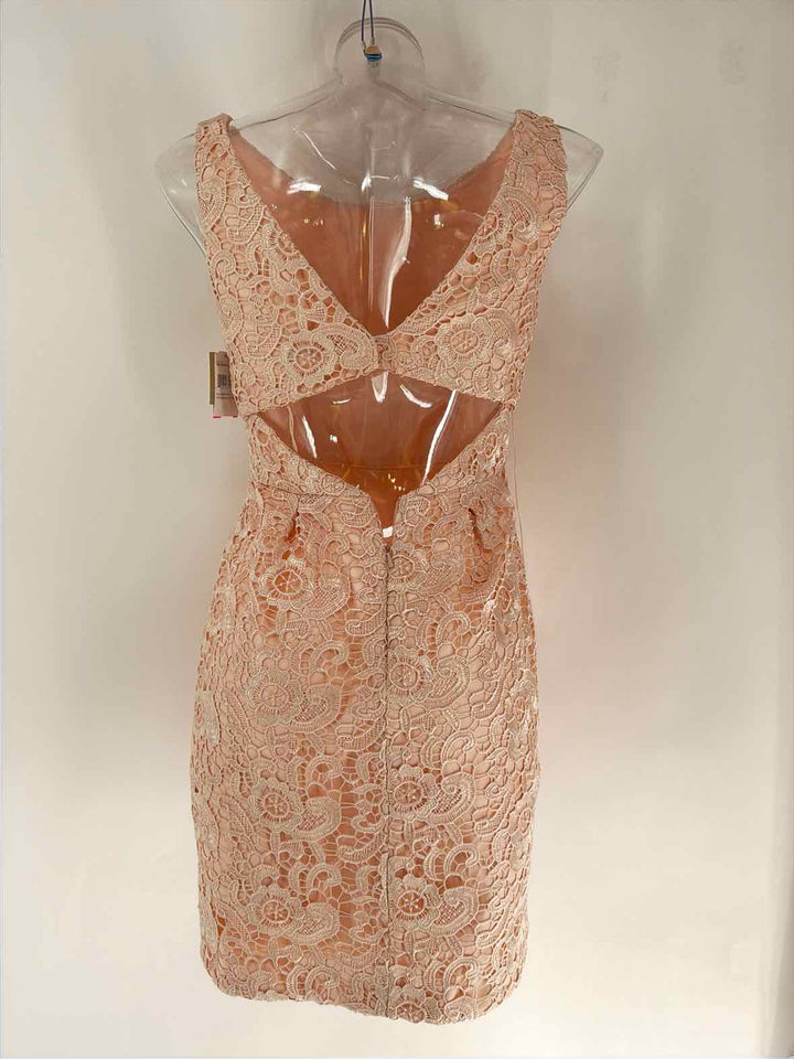 Size 8 AIDAN Pink Lace Dress