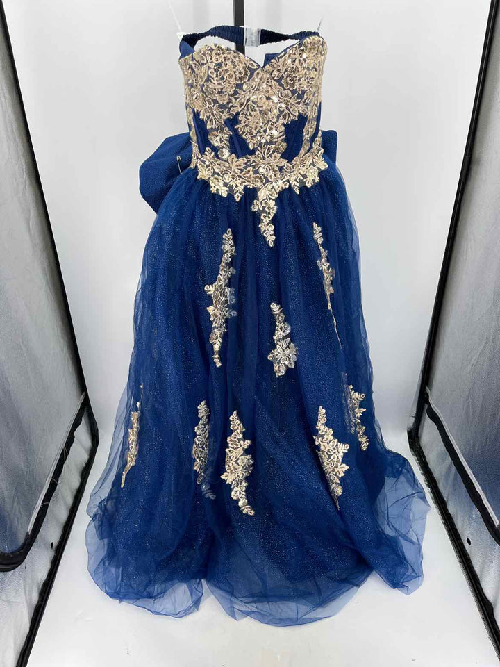 Size 6 Navy Dress