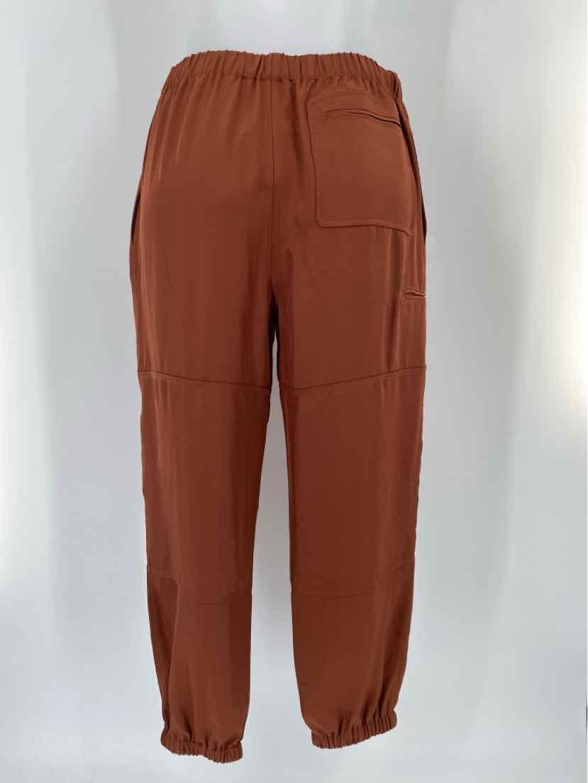 Size S THEORY Brown Pants