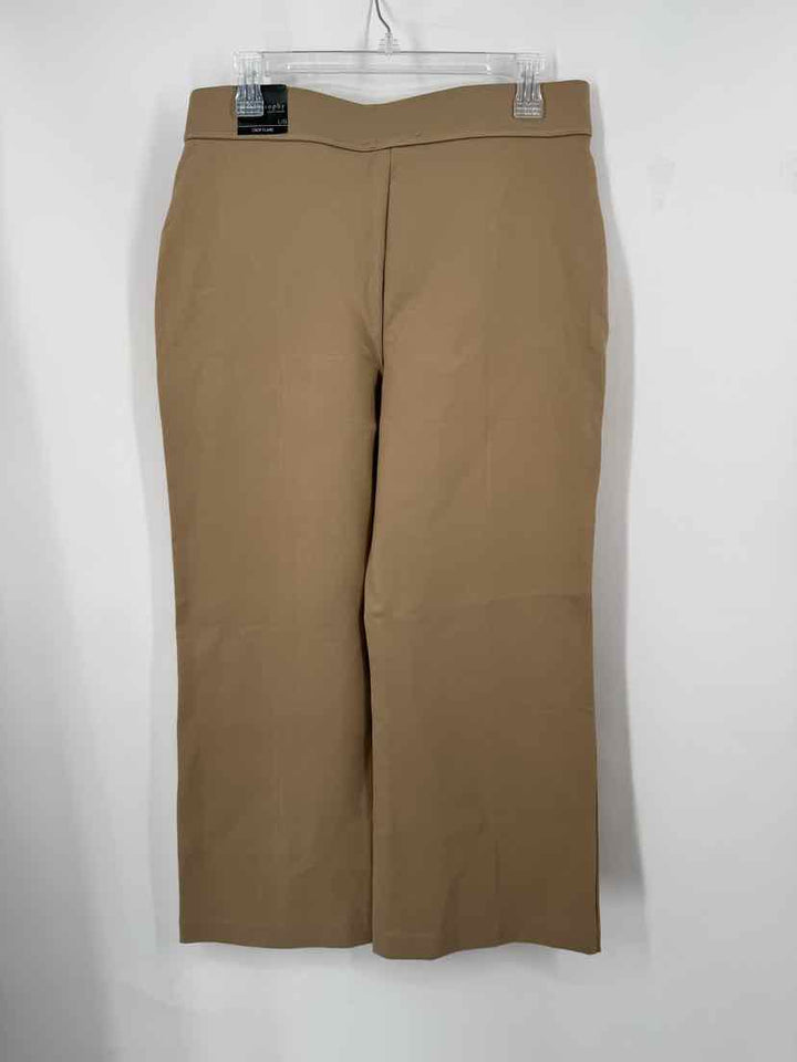 Size L PHILOSPHY Brown Pants
