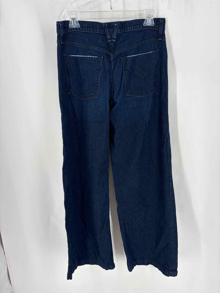 Size 28 Hudson Denim Pants